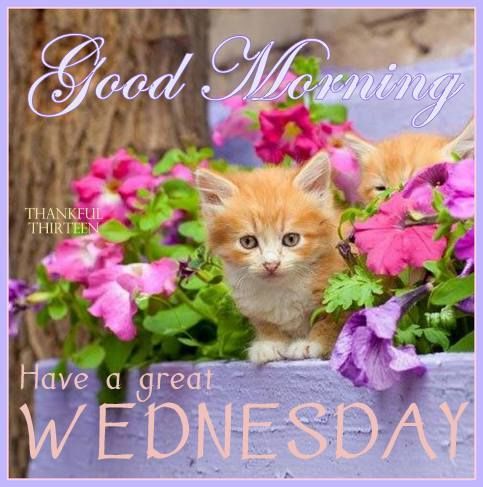 Image result for nice wednesday images