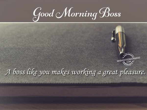 A Great Pleasure Good Morning Boss-wm101