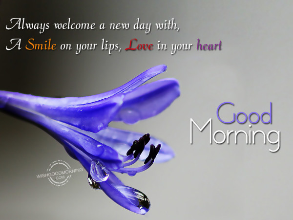Always Welcome A New Day Good Morning-Wg03