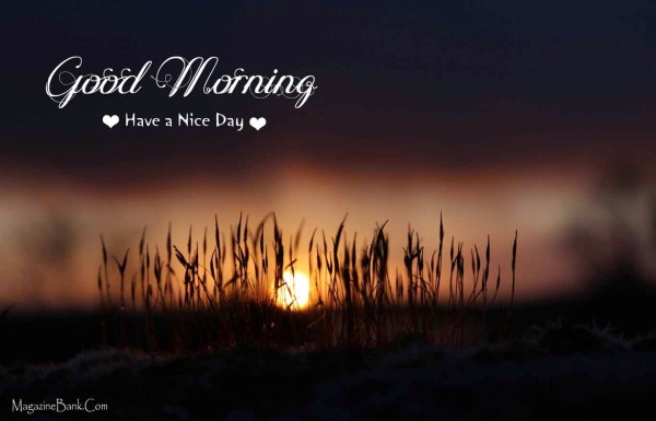 Beautriful Morning Wish-WG108