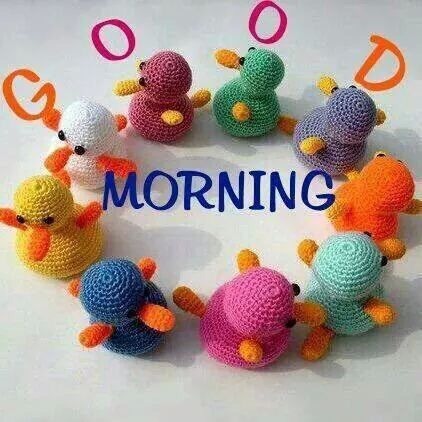 Cute Morning-wm122