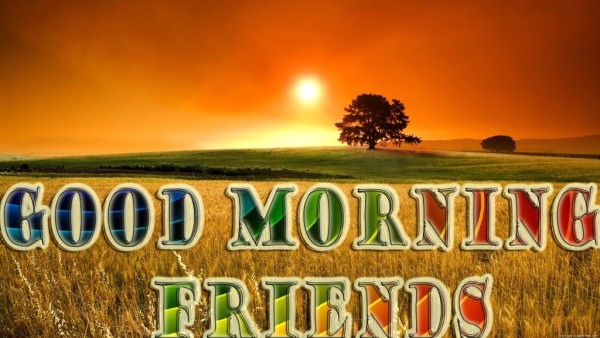 Good Morning All Friends-WG106