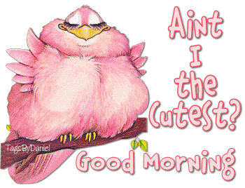 Good Morning-Animated Picture-WG163