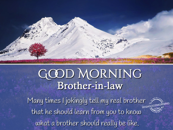 Good Morning Brother-In-Law !-wm212