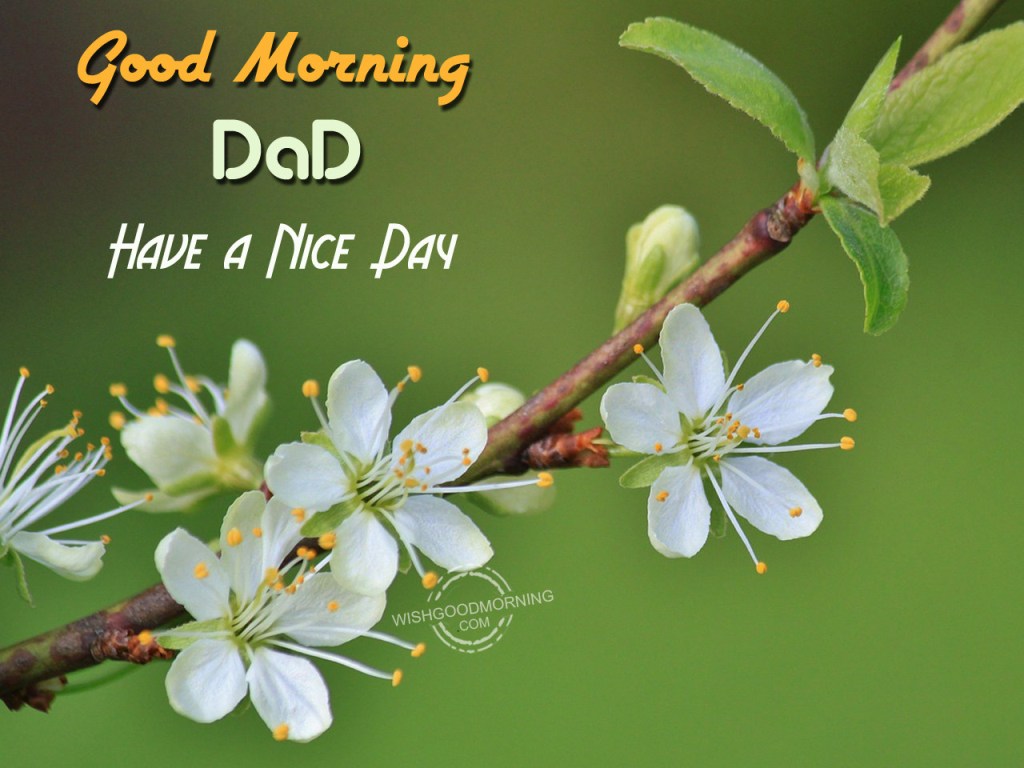Good Morning Dad Have A Nice Day