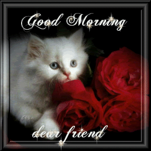 Good Morning Dear Friend !-WG107