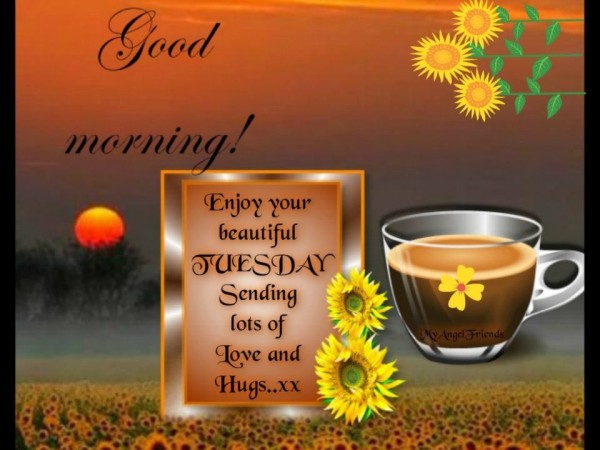 Good Morning Enjoy Your Beautiful Tuesday-wm705