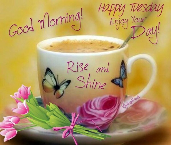 Good Morning Enjoy Your Tuesday-wm706