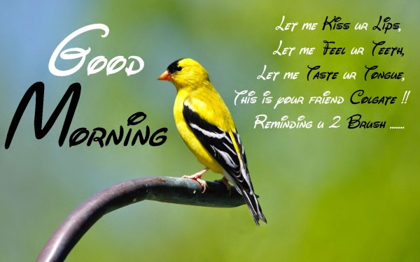 Good Morning Friend !-WG111