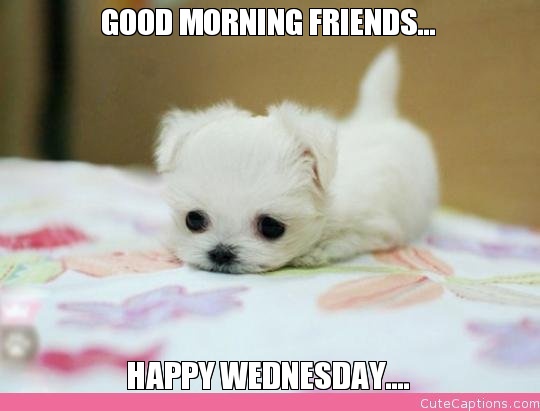 Good Morning Friends Happy Wednesday-wm806