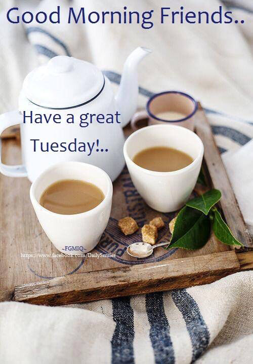 Good Morning Friends Have A Great Tuesday-wm707