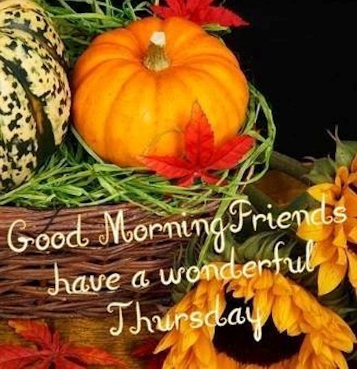 Good Morning Friends Have A Wonderful Thursday-wm503