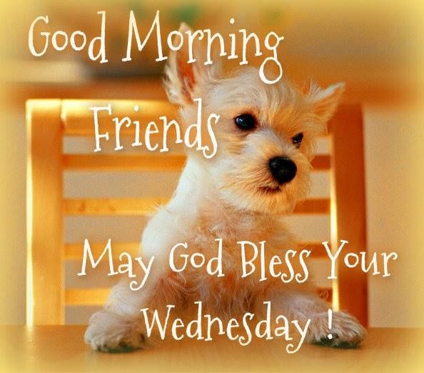 Good Morning Friends May God Bless Your Wednesday-wm807