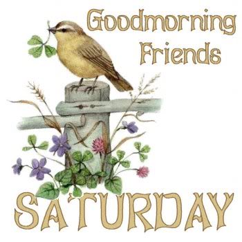 Good Morning Friends-Saturday-wm306