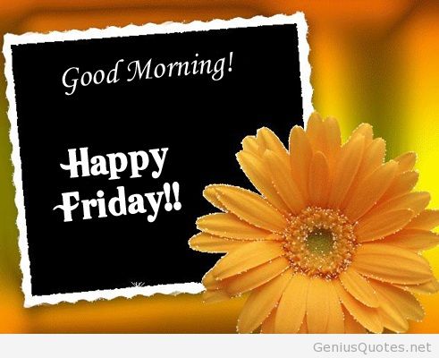 Good Morning Happy Friday !!-wm114