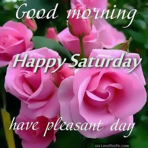 Good Morning Happy Saturday Have A pleasent Day-wm308