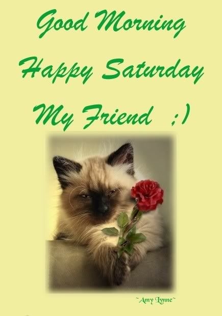 Good Morning Happy Saturday My Friend-wm309