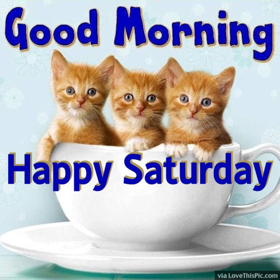 Good Morning-Happy Saturday !-wm337