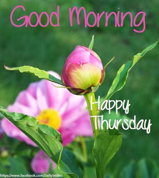 Good Morning Happy Thursday!