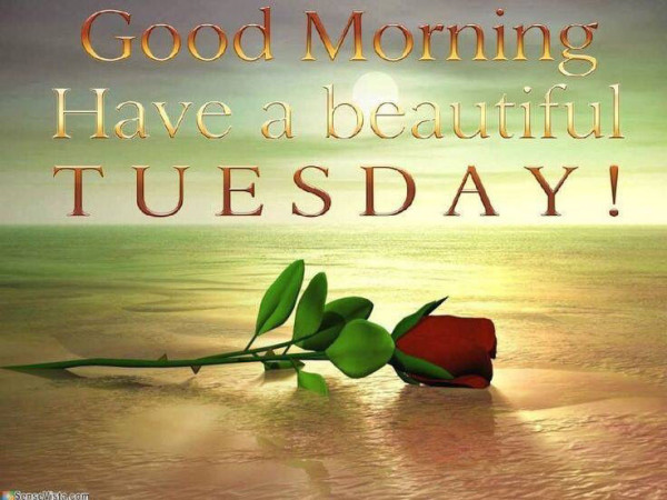 Good Morning Have A Beautiful Tuesday-wm713