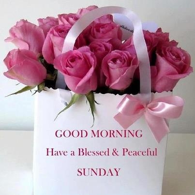 Good Morning Have A Blessed And Peaceful Sunday-wm314