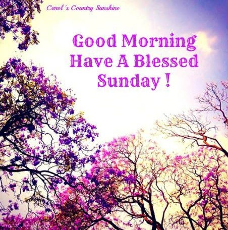 Good Morning Have A Blessed Sunday-wm411