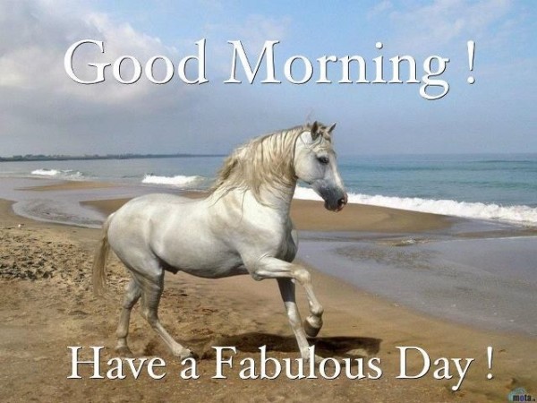 Good Morning Have A Fabulous Day-wm1613