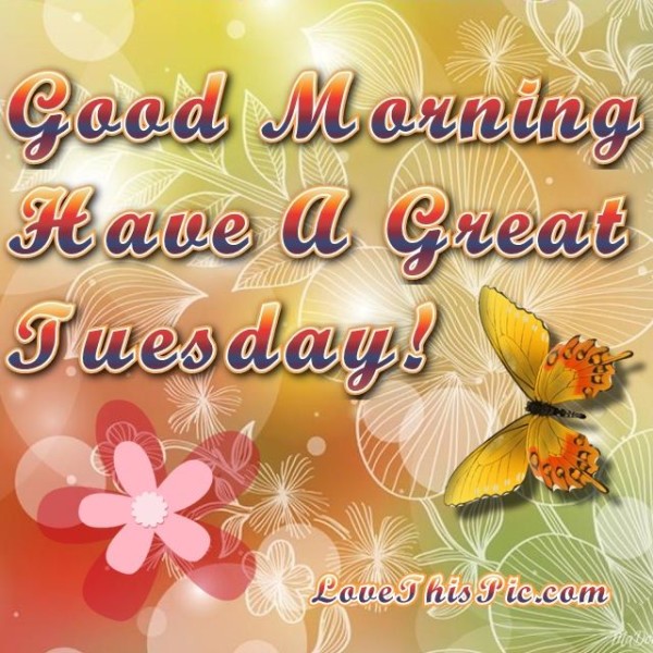 Good Morning Have A Great Tuesday !!-wm714