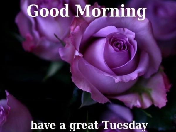 Good Morning Have A Great Tuesday !-wm715