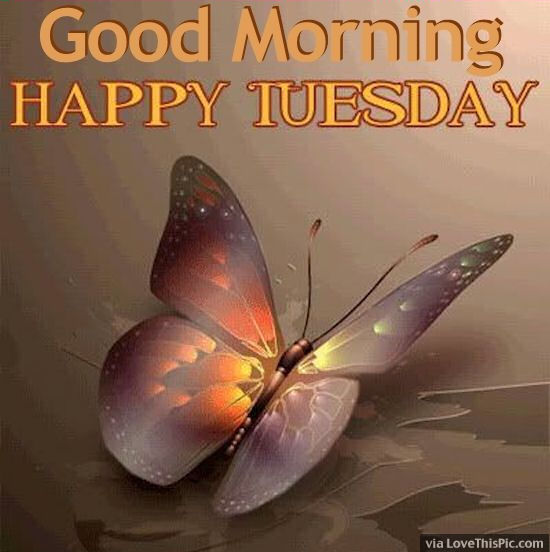 Good Morning Have A Happy Tuesday