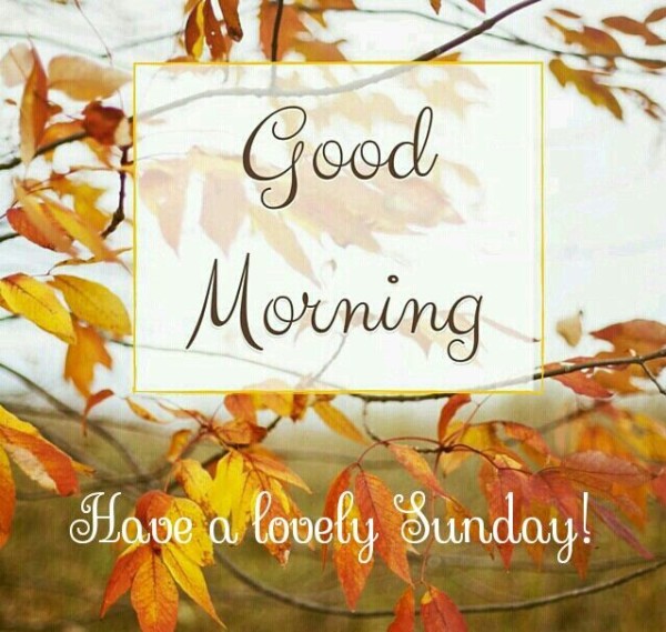 Good Morning Have A Lovely Sunday-wm414