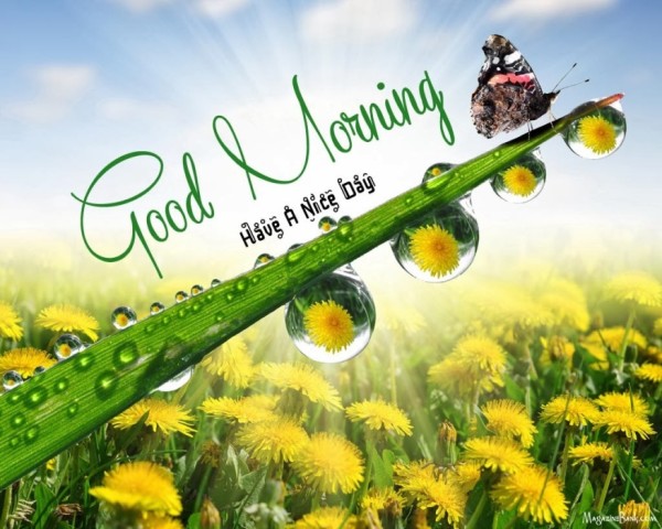 Good Morning Have A Nice Day Ahead-wm13040