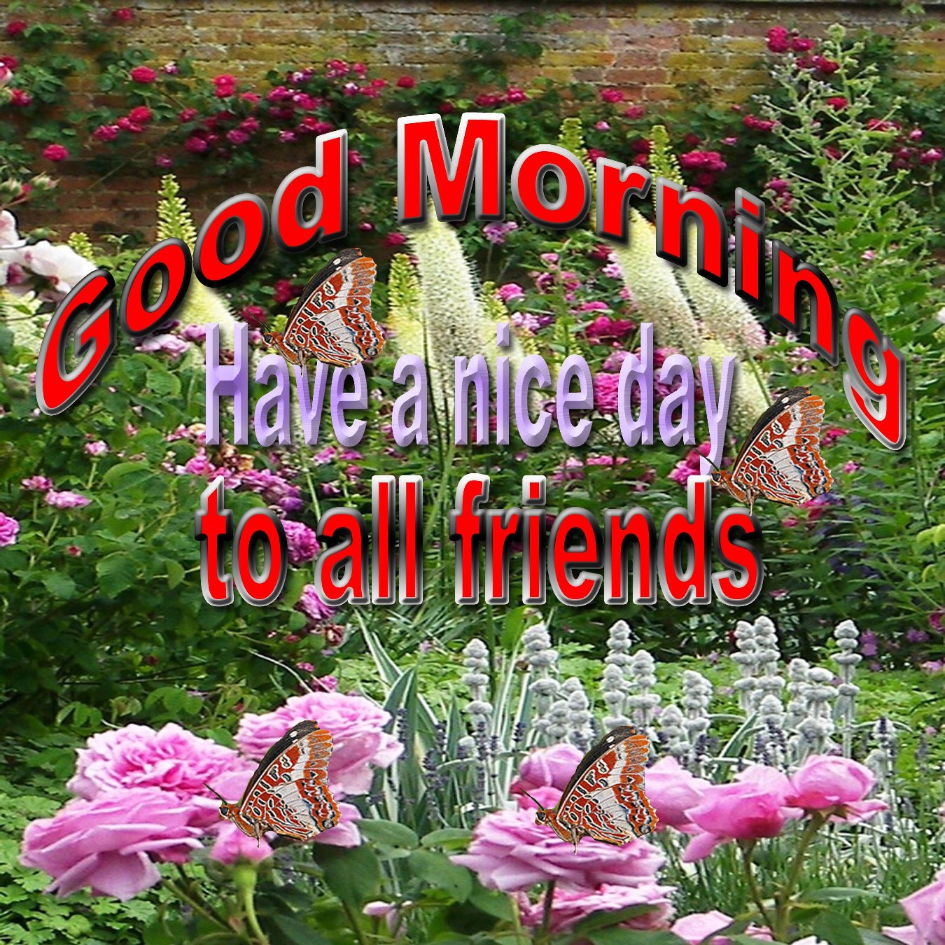 good morning friends have a wonderful sunday