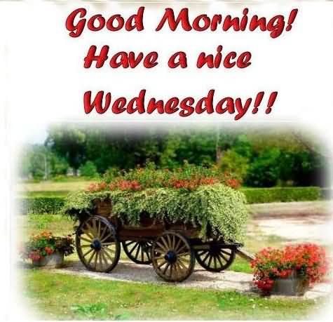 Good Morning Have A Nice Wednesday !!-wm821