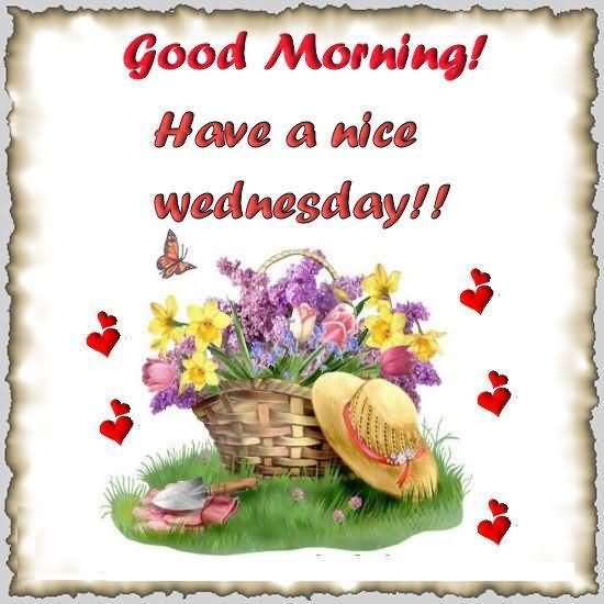 Good Morning Have A Nice Wednesday!!-wm822