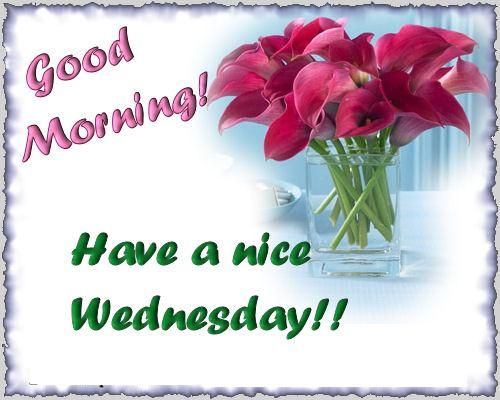 Good Morning Have A Nice Wednesday-wm824
