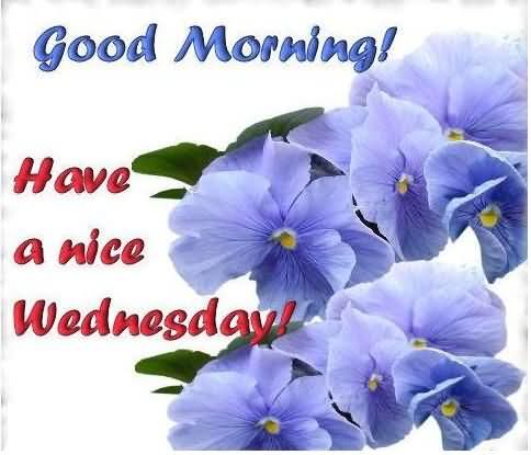 Good Morning-Have A Nice Wednesday-wm836