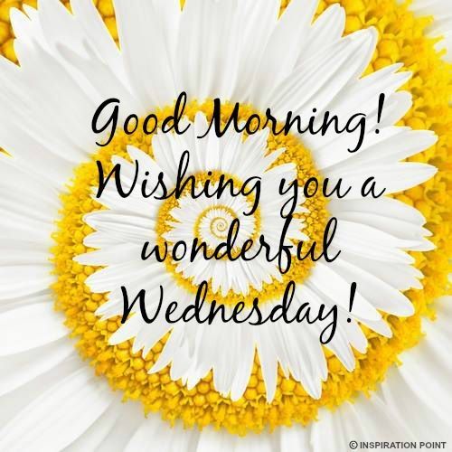 Good Morning Have A Wonderful Wednesday !-wm825