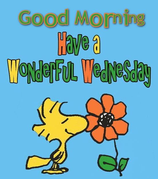 Good Morning Have A Wonderful Wednesday !-wm913