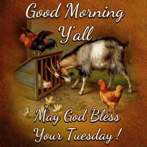Good Morning May God Bless Your Tuesday !-wm720