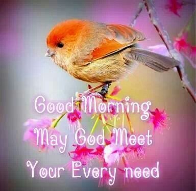Good Morning May God Meet Your Every Need-WG121