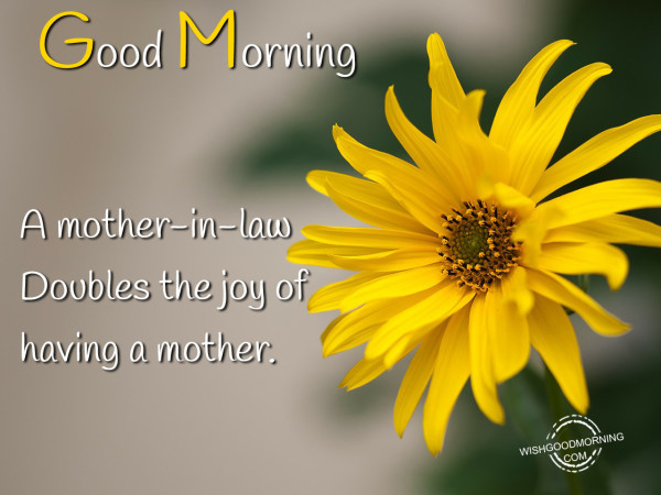 Good Morning Mother-In-Law-WG12