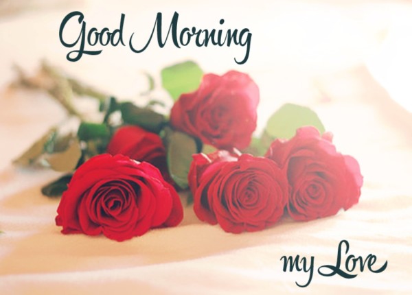 Good Morning My Love Sending You Roses-wm13048