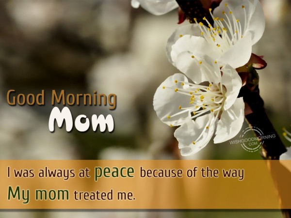 Good Morning My Mom