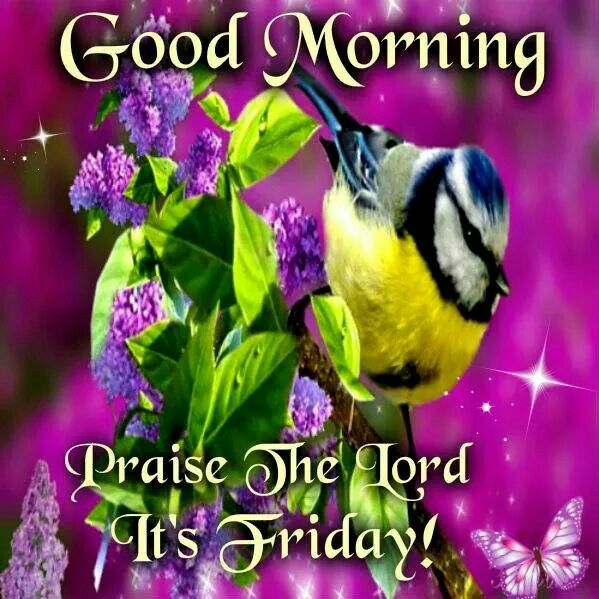 Good Morning Praise The Lord It's Friday-wm123