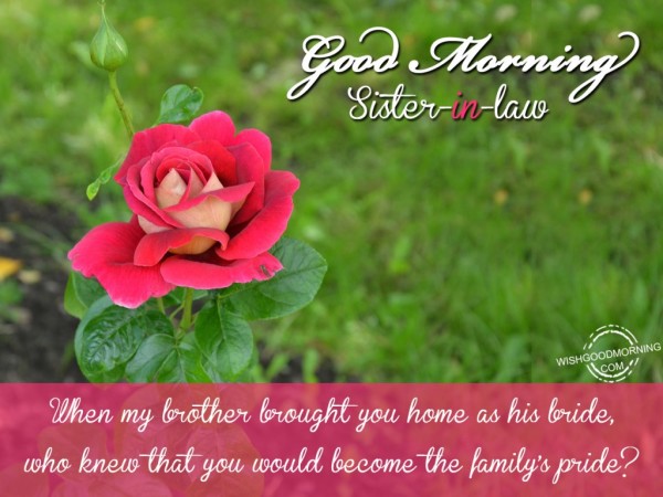 Good Morning Sister-In-Law-WG15