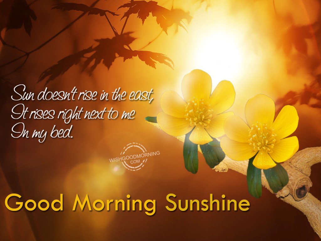 Images Of Good Morning Sunshine