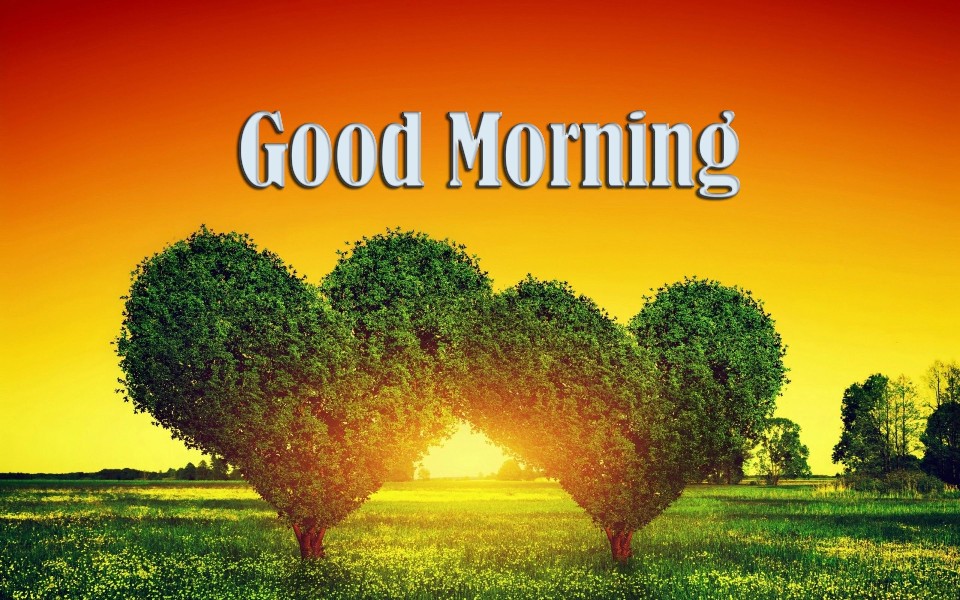 Good Morning Wishes With Heart Pictures, Images