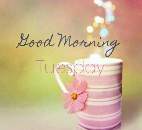 Good Morning Tuesday-wm724