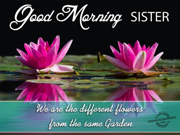 Good Morning Wish For Sister-WG16